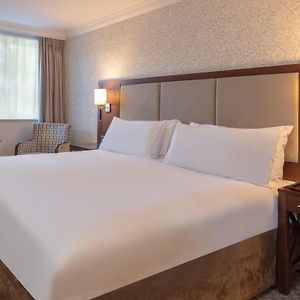 Deluxe Kamer met een King Size Bed